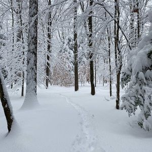 Meet your Posher, Sirsha